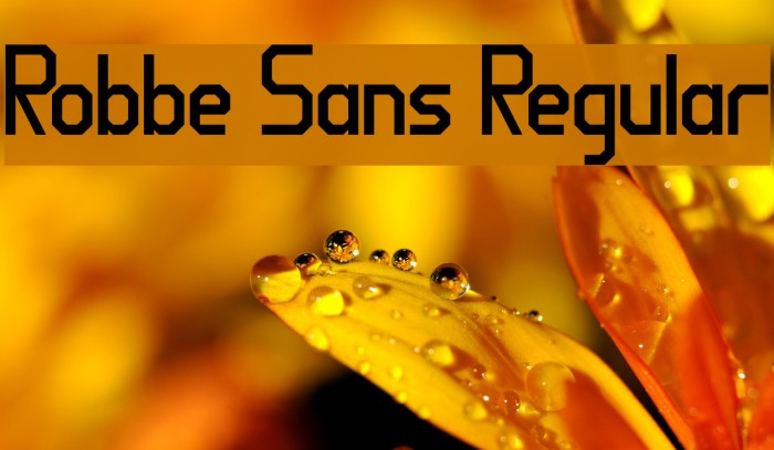 Robbe Sans Regular Font examples
