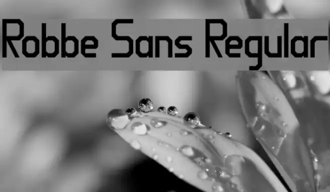 Robbe Sans Regular Font examples