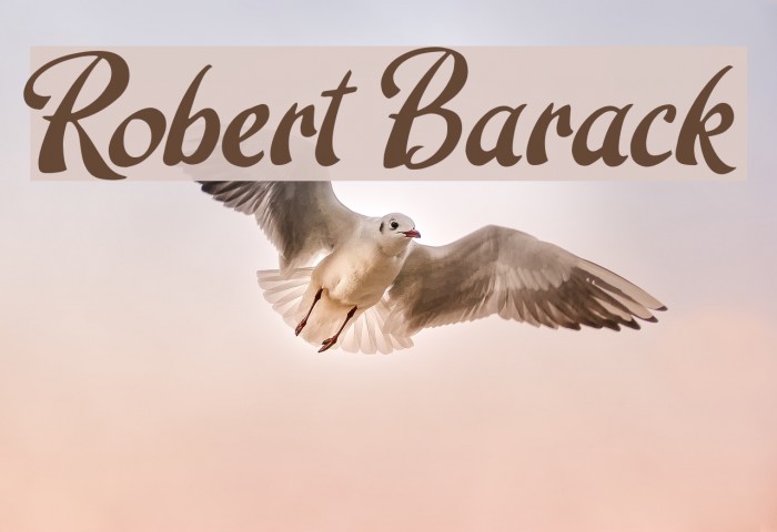 Robert Barack Font examples