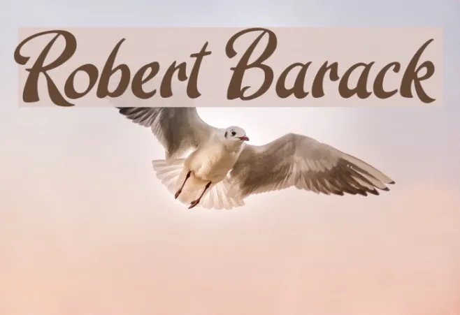 Robert Barack Example 3