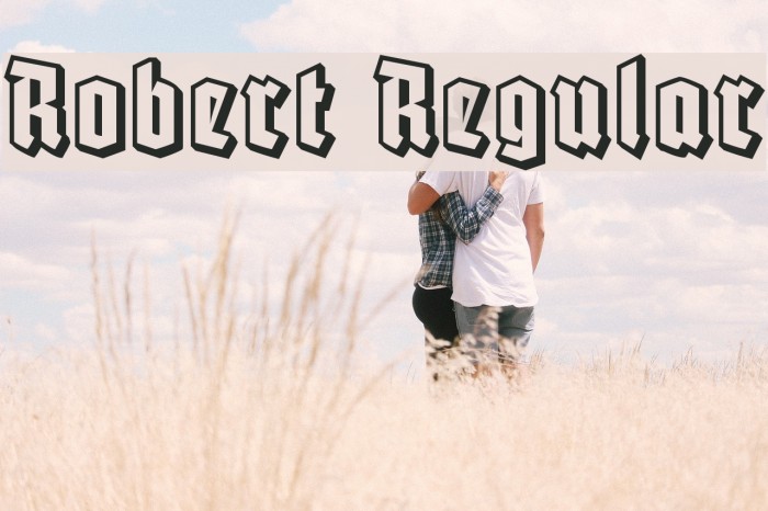 Robert Regular Font examples