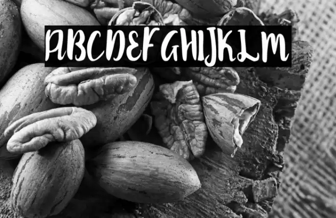 Robert Font examples