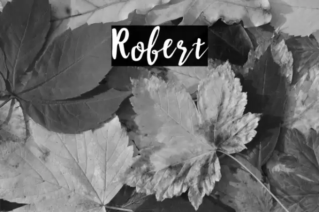 Robert Font examples