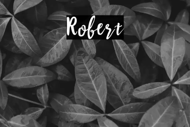 Robert Font examples