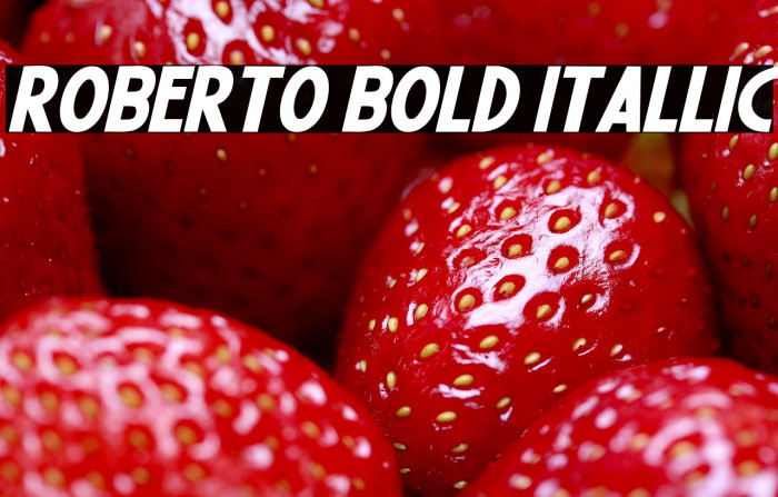 Roberto Bold Itallic Example 1