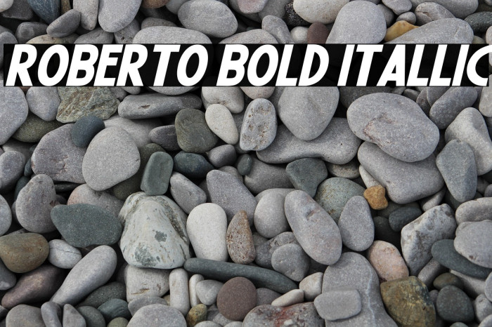 Roberto Bold Itallic Example 2