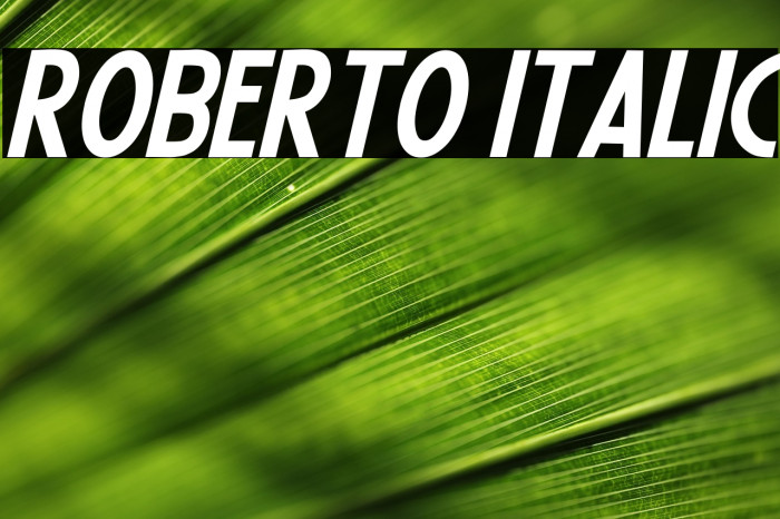 Roberto Italic Example 1