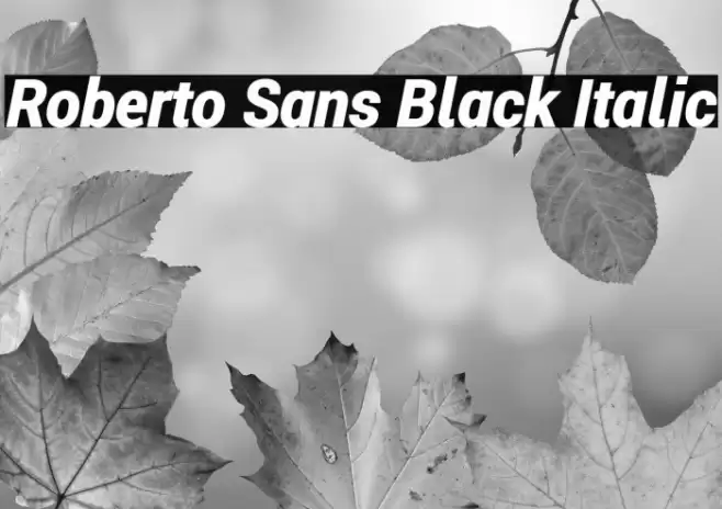 Roberto Sans Black Italic Шрифта examples