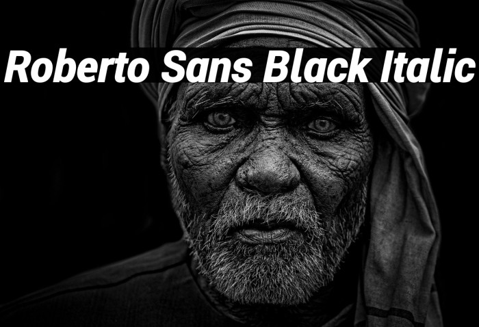 Roberto Sans Black Italic Example 3