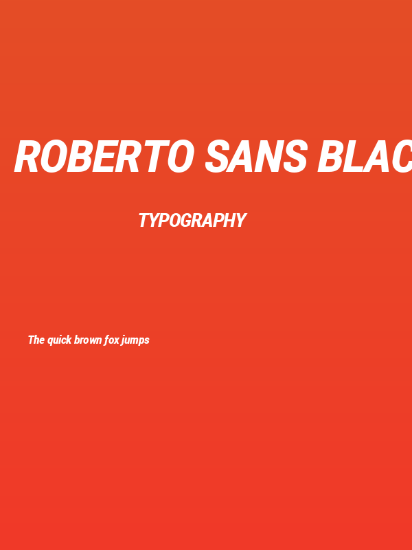 Roberto Sans Black Italic Poster
