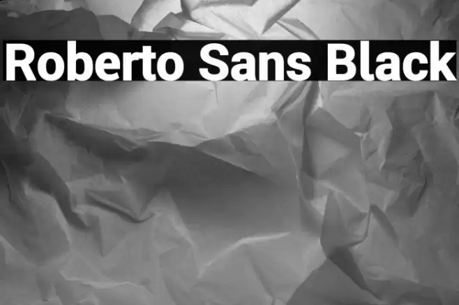 Roberto Sans Black Font examples