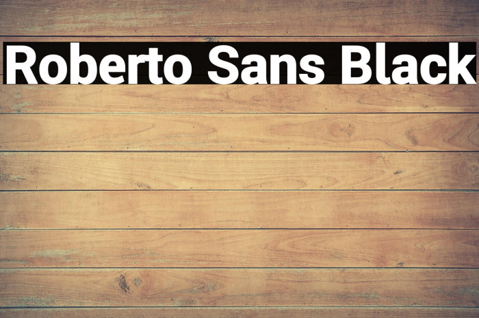 Roberto Sans Black Example 2