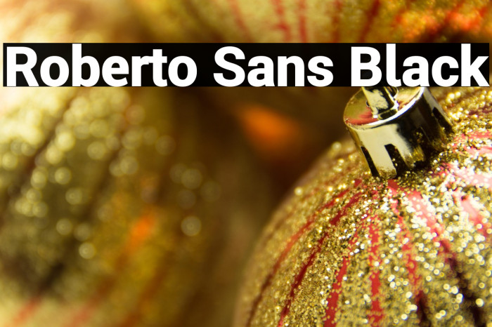 Roberto Sans Black Example 3