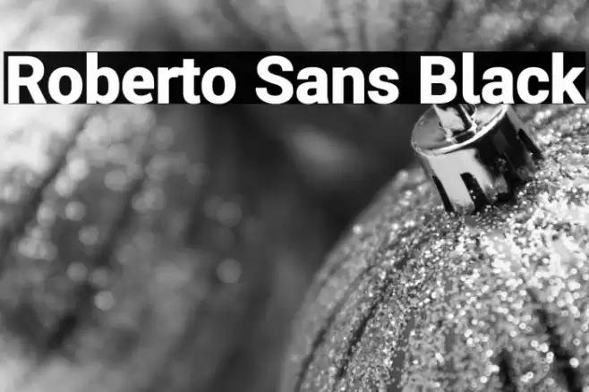 Roberto Sans Black Font examples