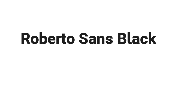 Roberto Sans Black Logo