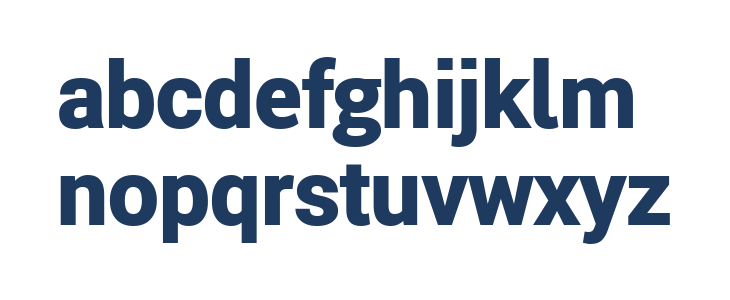 Roberto Sans Black Lowercase