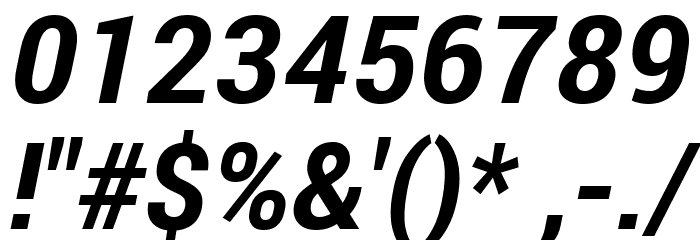 Roberto Sans Bold Italic Font OTHER CHARS