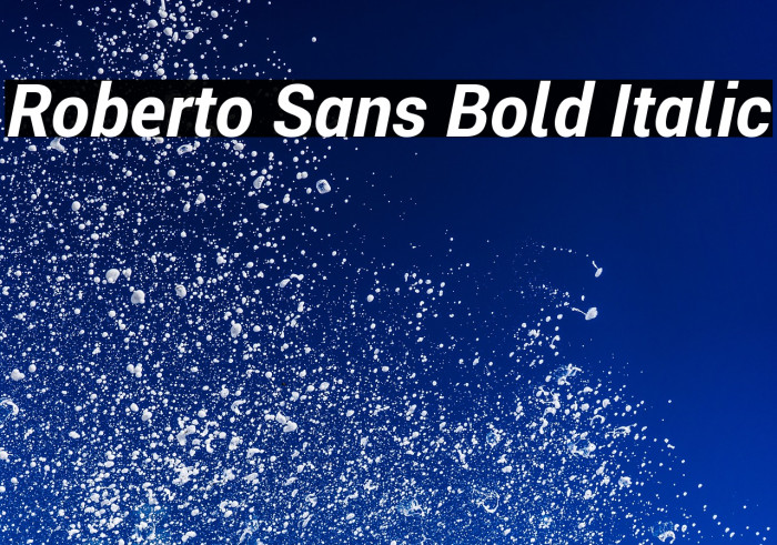 Roberto Sans Bold Italic Example 2