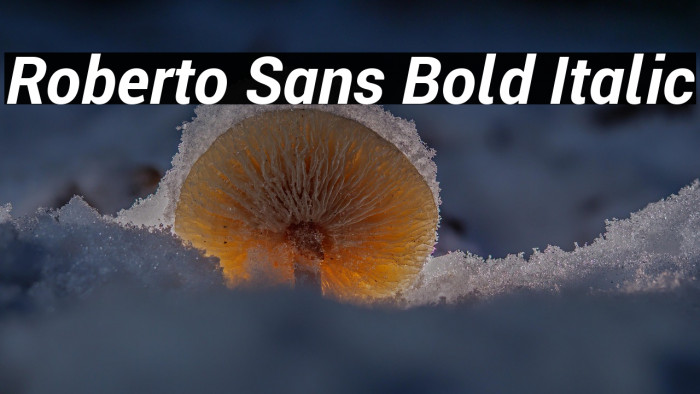 Roberto Sans Bold Italic Example 3