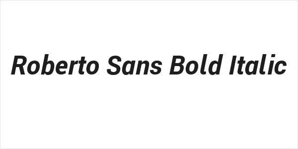 Roberto Sans Bold Italic Logo