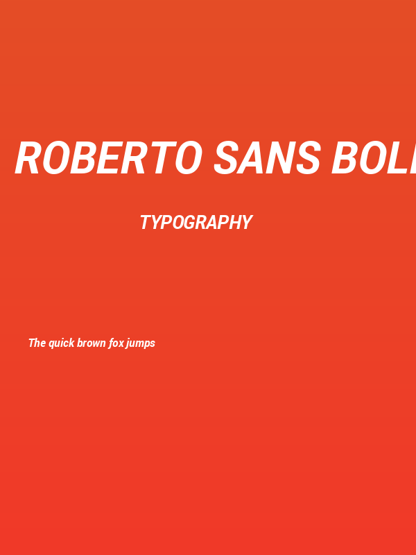 Roberto Sans Bold Italic Poster