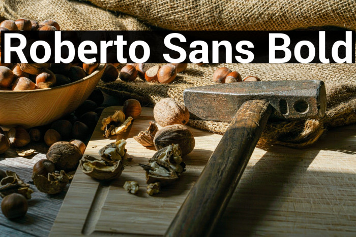 Roberto Sans Bold Example 1