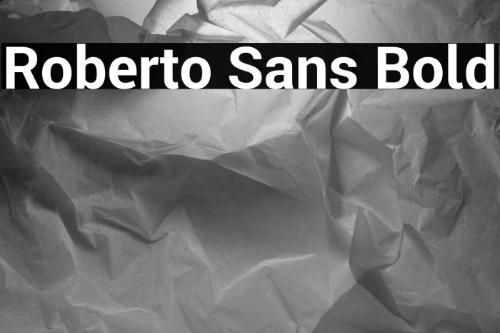Roberto Sans Bold Example 2