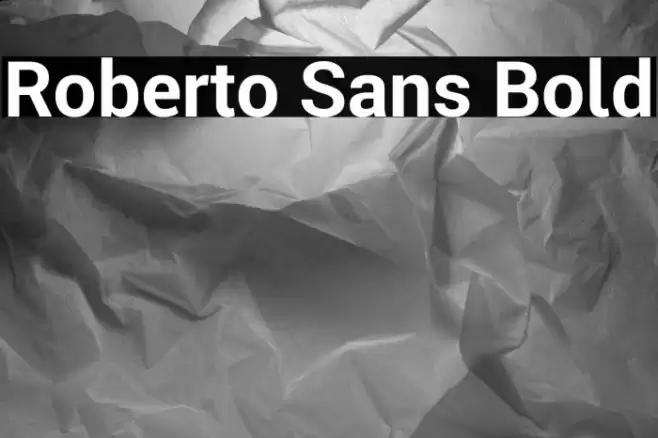 Roberto Sans Bold Font examples
