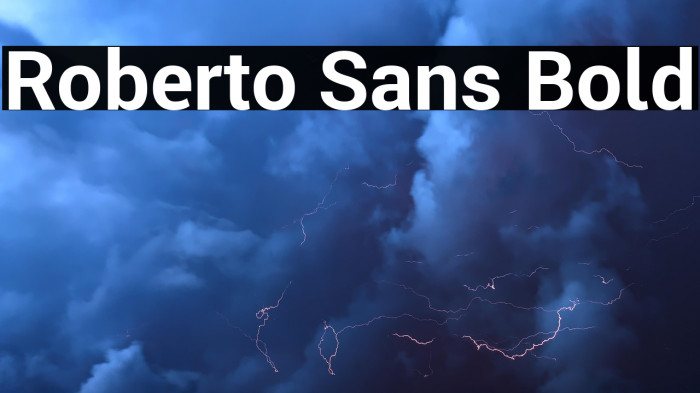 Roberto Sans Bold Example 3