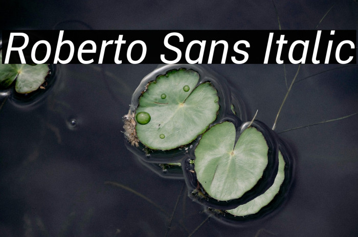Roberto Sans Italic Example 1