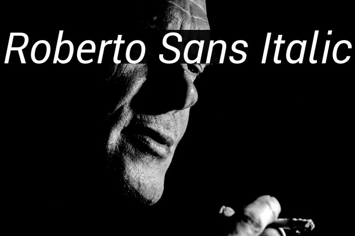 Roberto Sans Italic Example 3