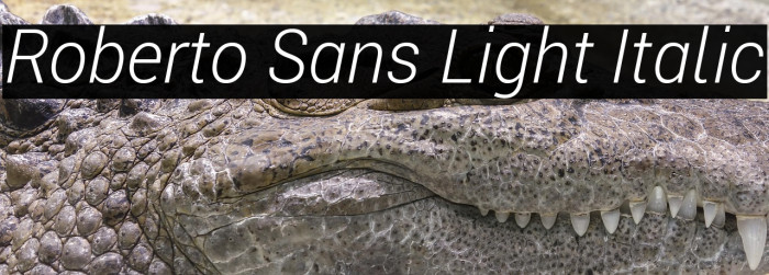 Roberto Sans Light Italic Example 3