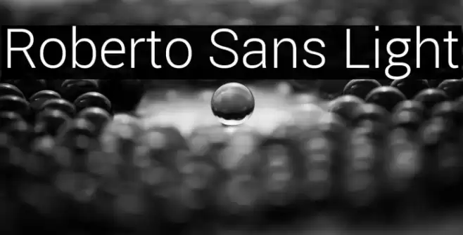 Roberto Sans Light Font examples