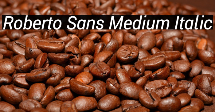 Roberto Sans Medium Italic Example 2