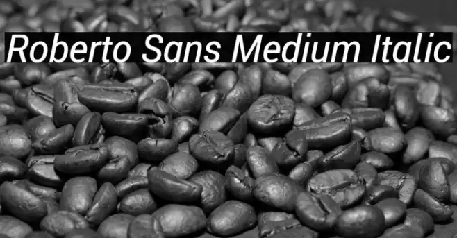 Roberto Sans Medium Italic Font examples
