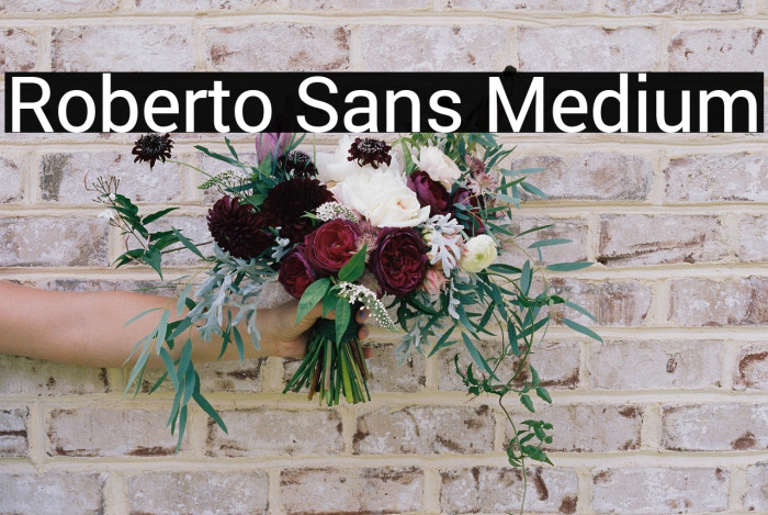 Roberto Sans Medium Example 1