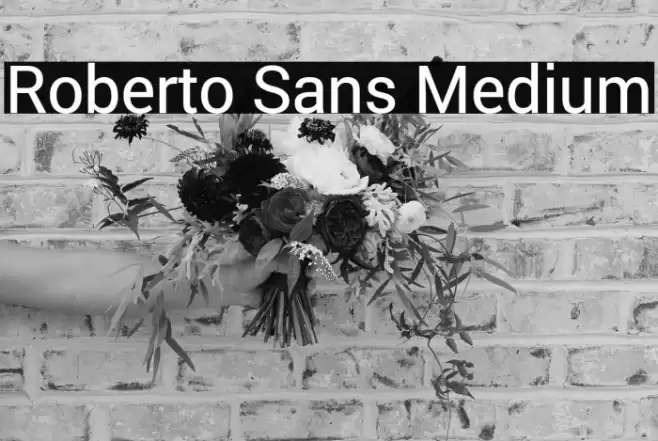 Roberto Sans Medium Font examples