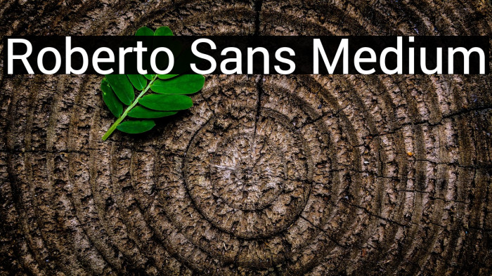 Roberto Sans Medium Example 2