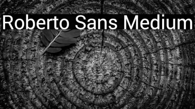 Roberto Sans Medium Font examples