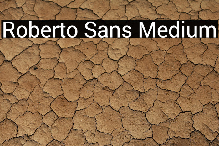 Roberto Sans Medium Example 3