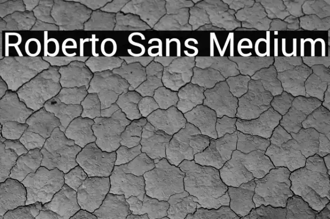 Roberto Sans Medium Font examples