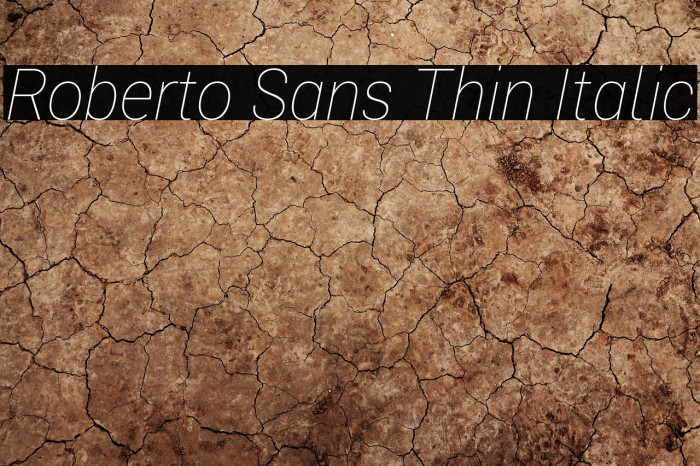 Roberto Sans Thin Italic Example 3