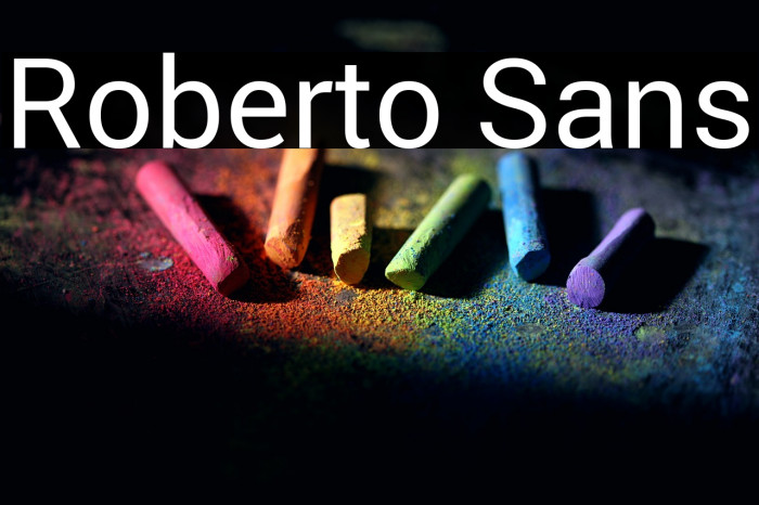 Roberto Sans Example 1