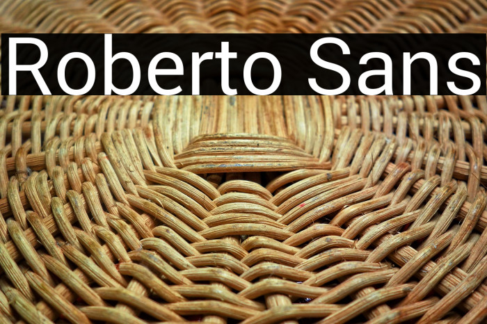 Roberto Sans Example 2