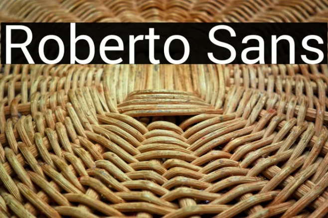 Roberto Sans Example 2