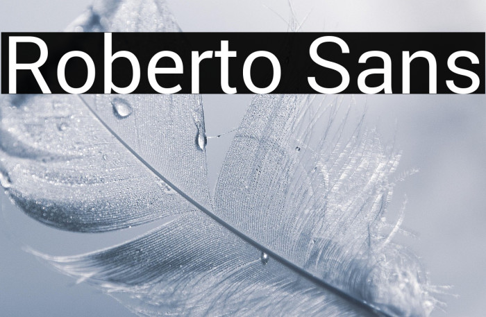Roberto Sans Example 3