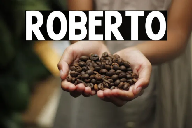 Roberto Example 1
