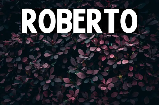Roberto Example 3
