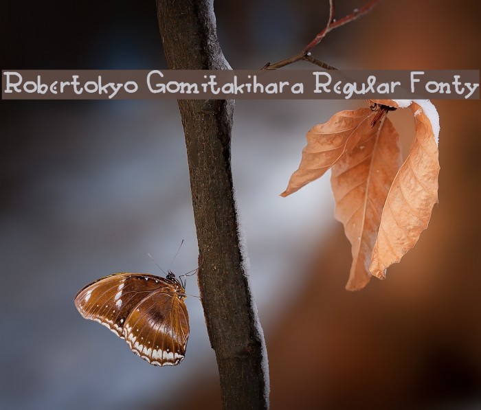 Robertokyo Gomitakihara Regular Fonty Font examples
