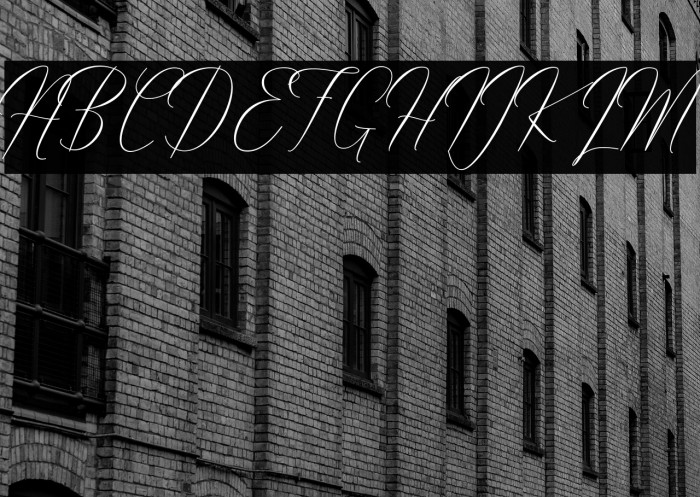 Robertortiz Example 1